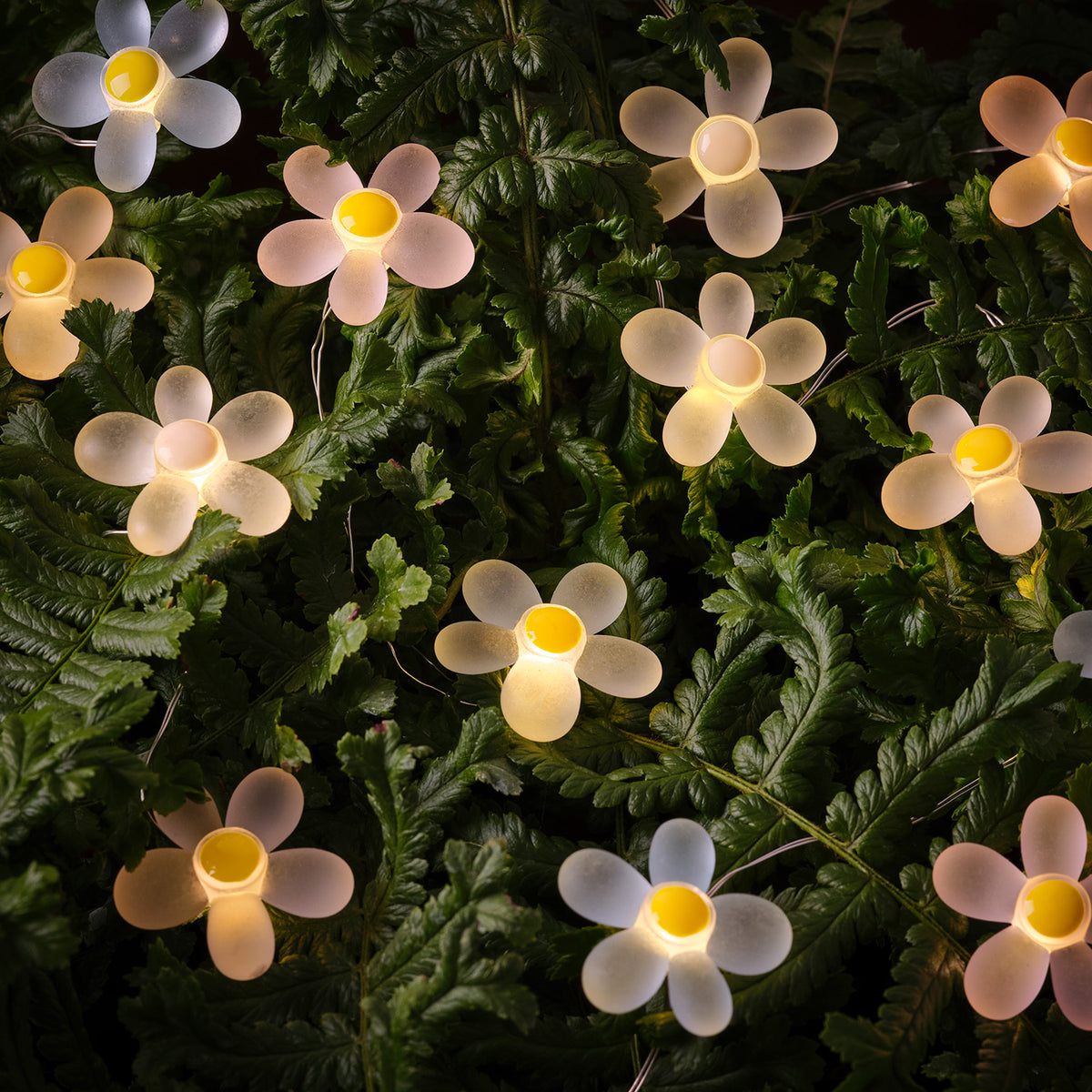 20er LED Micro Lichterkette außen Gänseblümchen