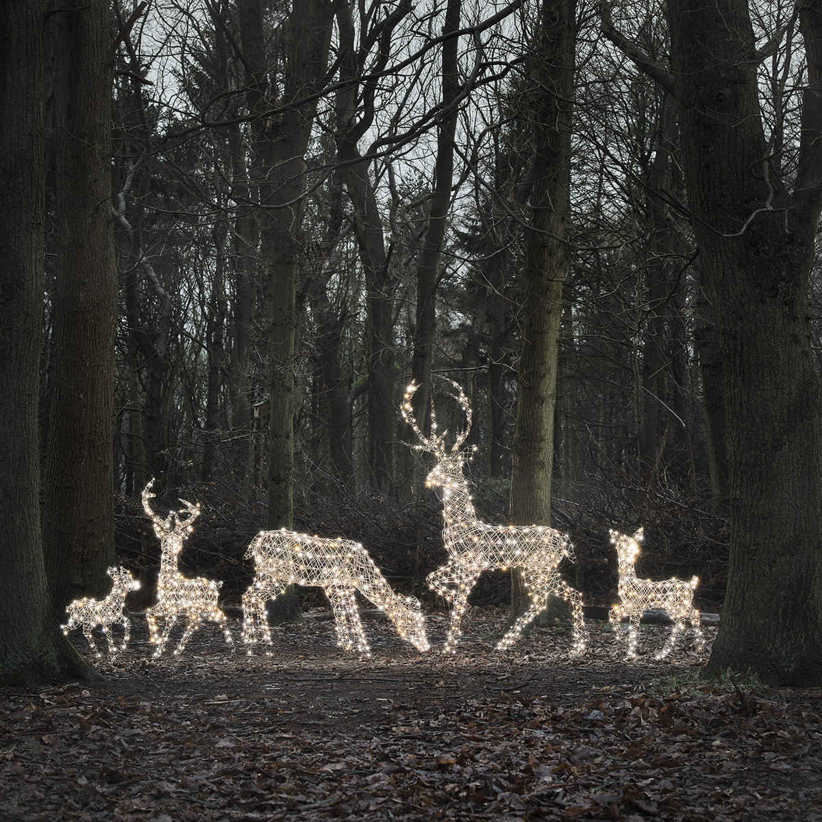 5er Set LED-Rentierfamilie XL Studley