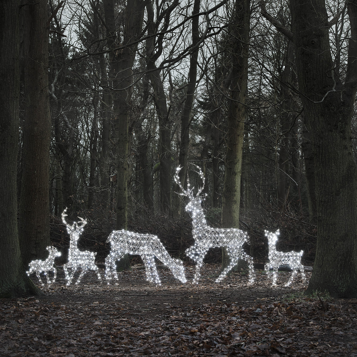 5er Set LED-Rentierfamilie XL Studley