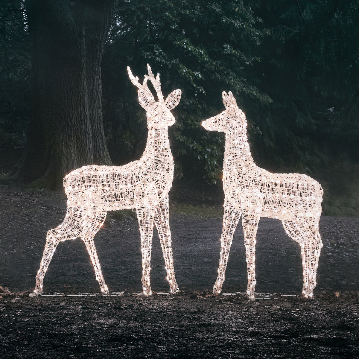 2er Set Bicolor LED-Rentiere Hirsch & Hirschkuh XL Swinsty