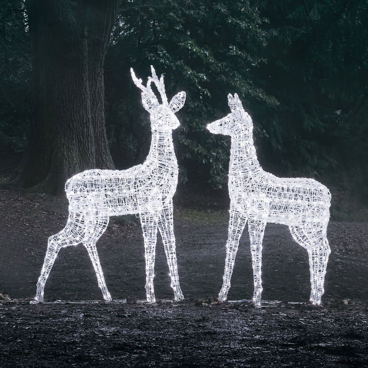 2er Set Bicolor LED-Rentiere Hirsch & Hirschkuh XL Swinsty
