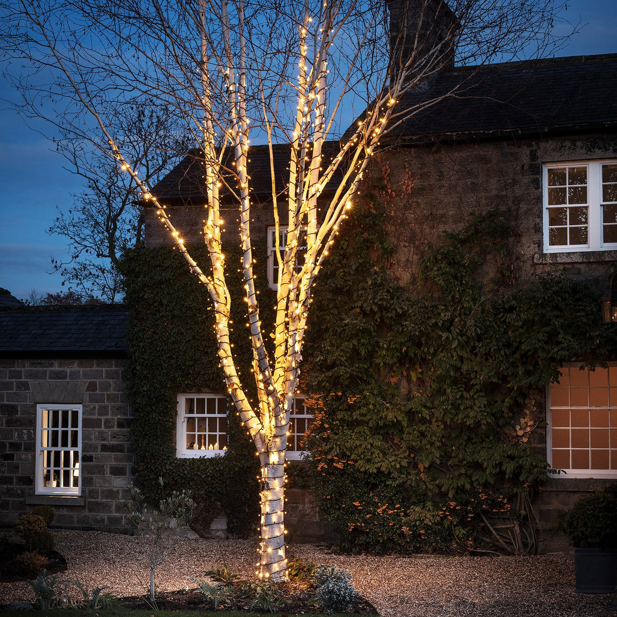 Pro Connect IP67, 50m 500er LED-Lichterkette warmweiß koppelbar mit schwarzem Kabel