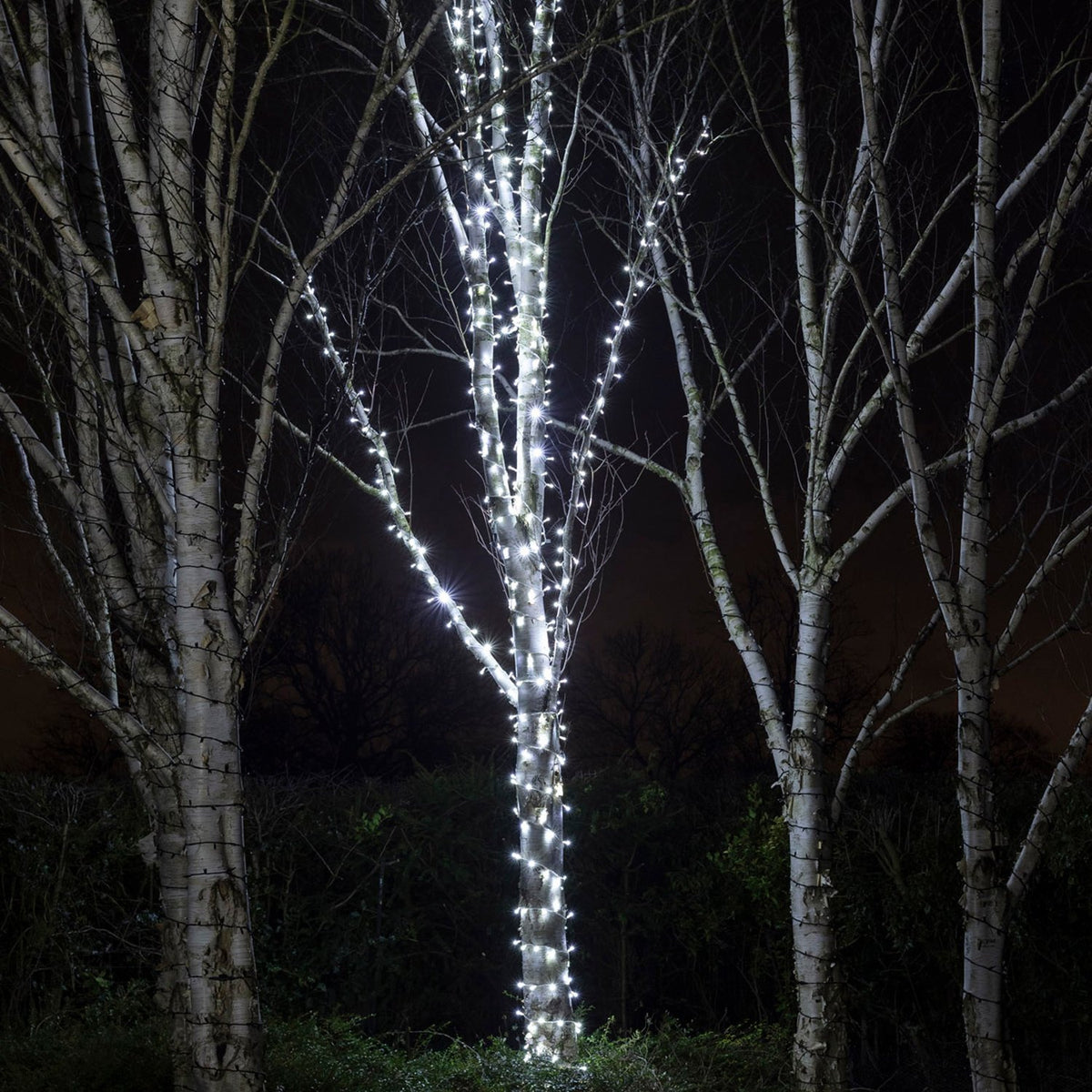 Pro Connect 5m 50er LED Lichterkette weiß koppelbar weißes Kabel IP67