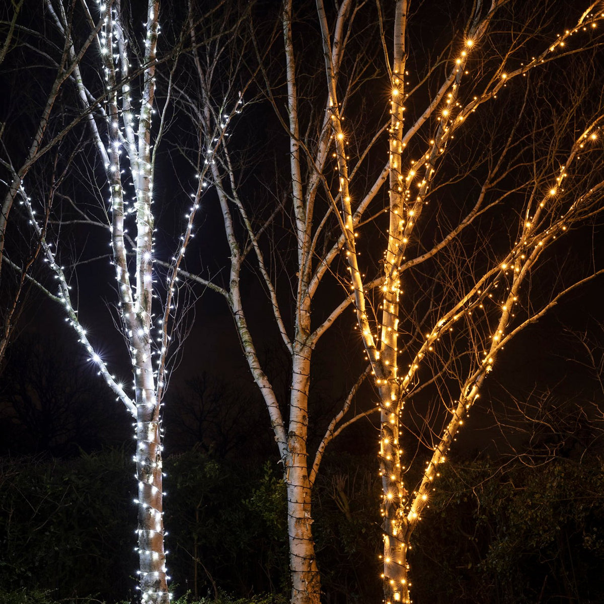 Pro Connect IP67, 60m 600er LED Lichterkette gold warmweiß koppelbar schwarzes Kabel