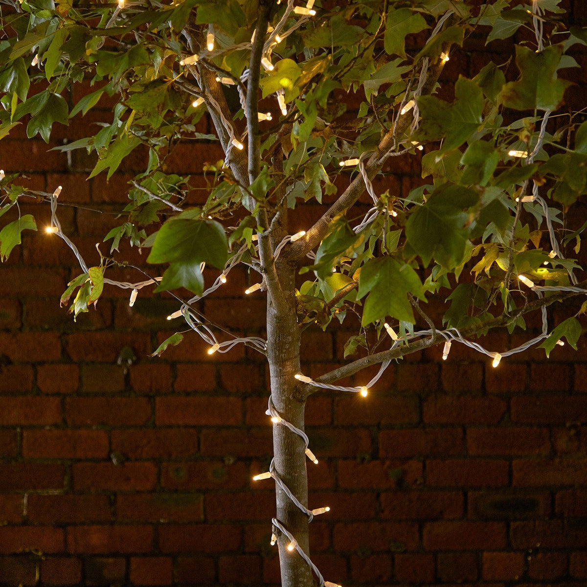 Pro Connect IP67,  50m 500er LED Lichterkette warmweiß koppelbar weißes Kabel