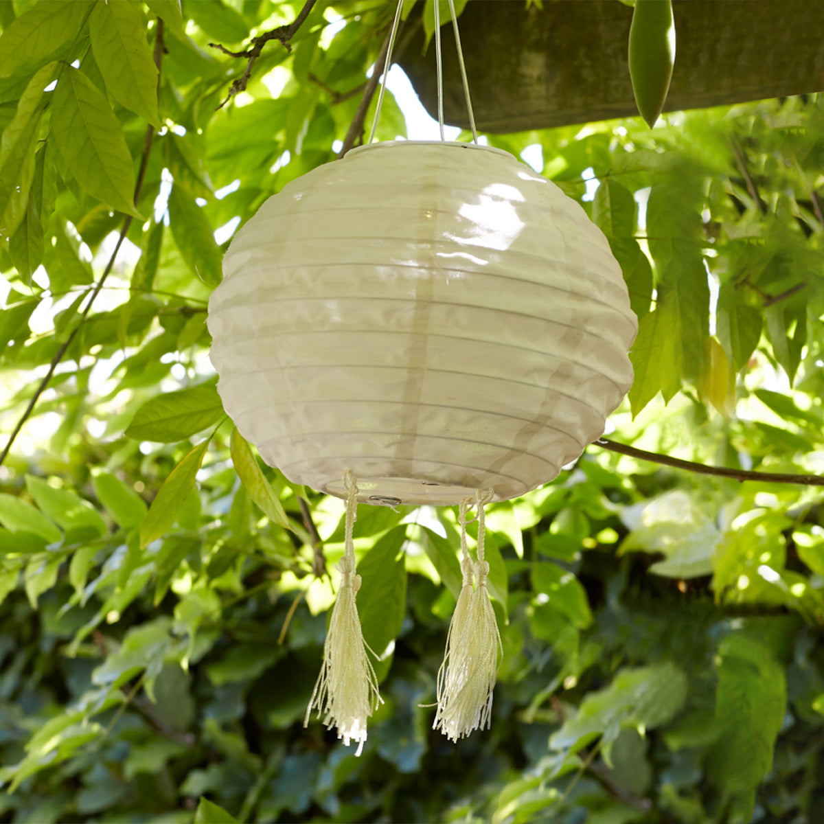 20cm Lucena Solar Lampion crème