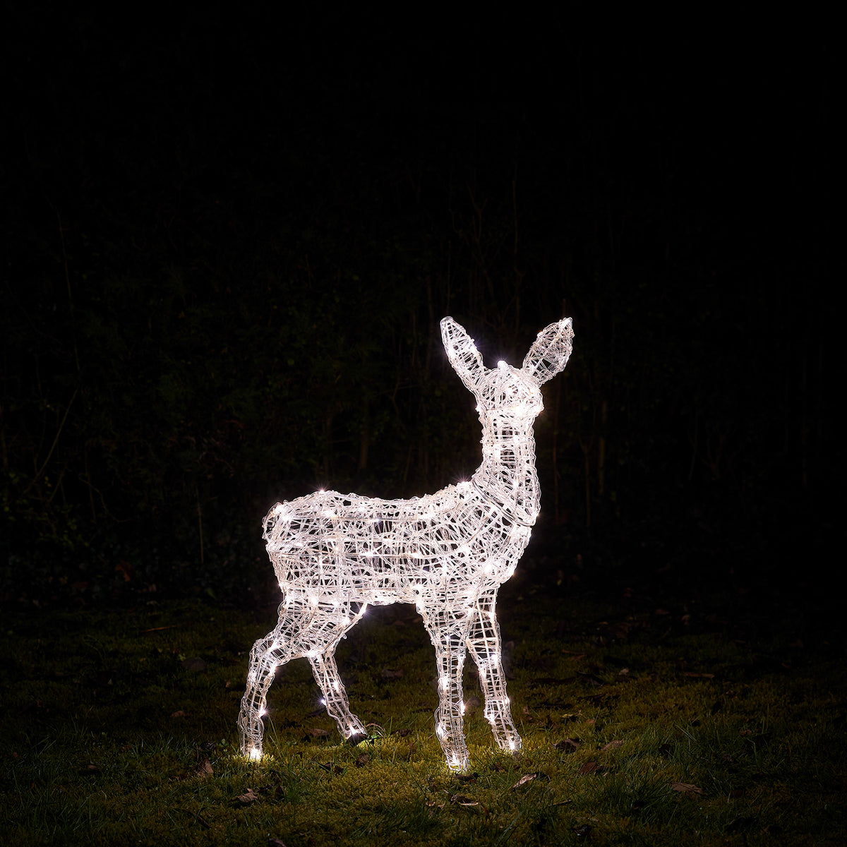 Bicolor LED-Rentier Rehkitz L Swinsty