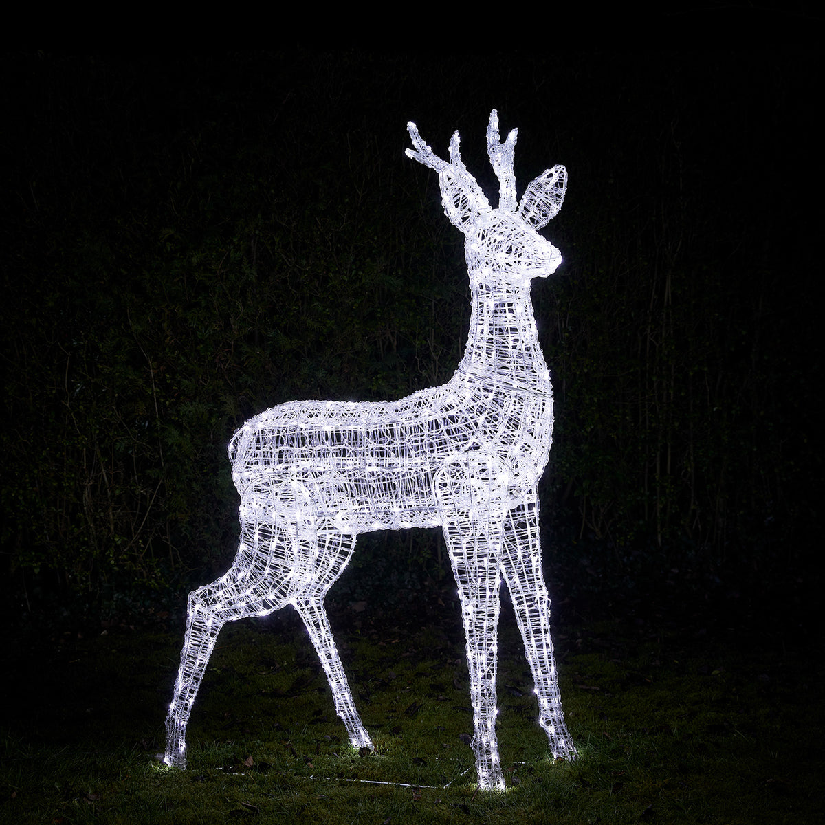 Bicolor LED-Rentier Hirsch XL Swinsty