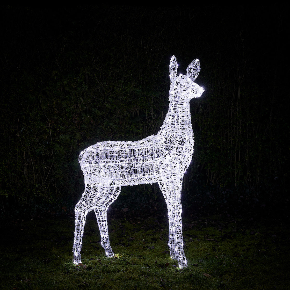 Bicolor LED-Rentier Hirschkuh XL Swinsty