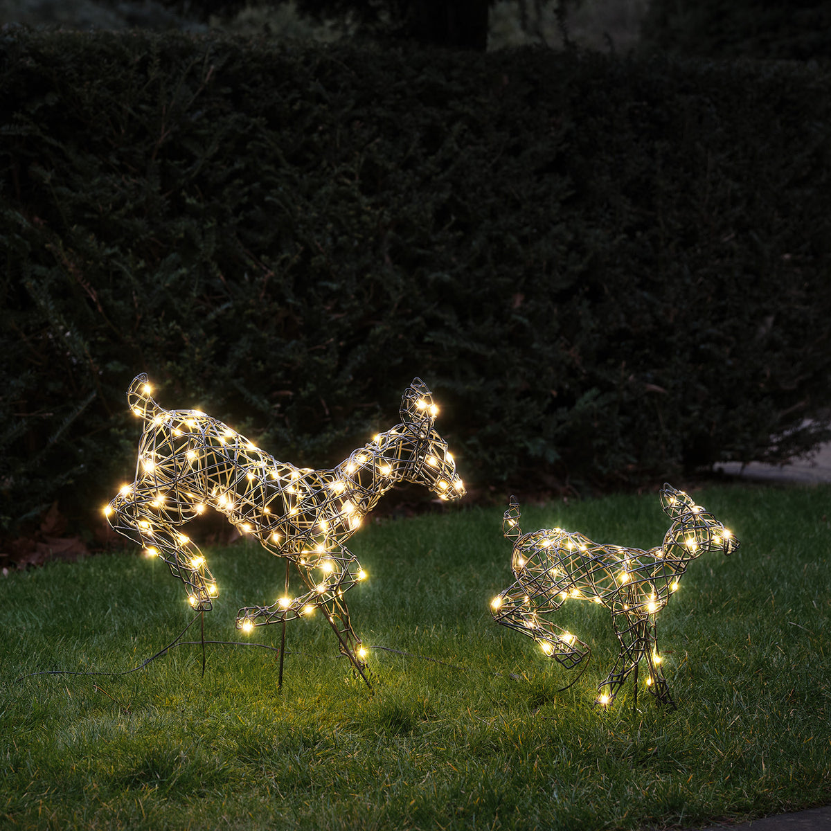 2er Set springende LED-Rentierefamilie Hirschkuh & Rehkitz M Harlow