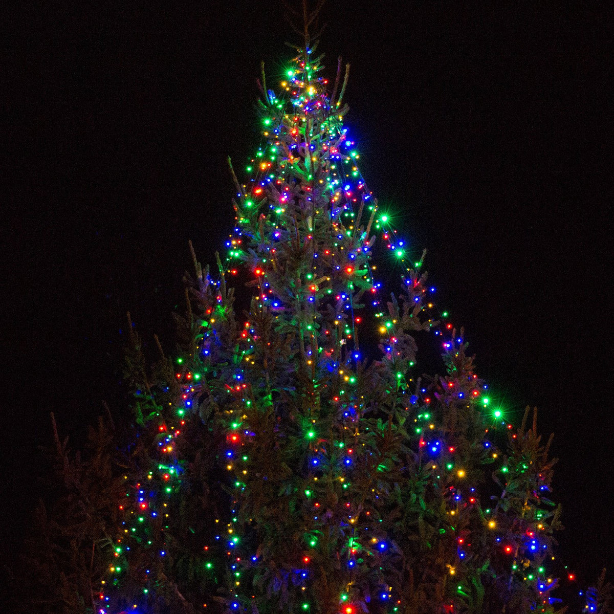Core Connect 50m 500er LED Lichterkette bunt koppelbar grünes Kabel