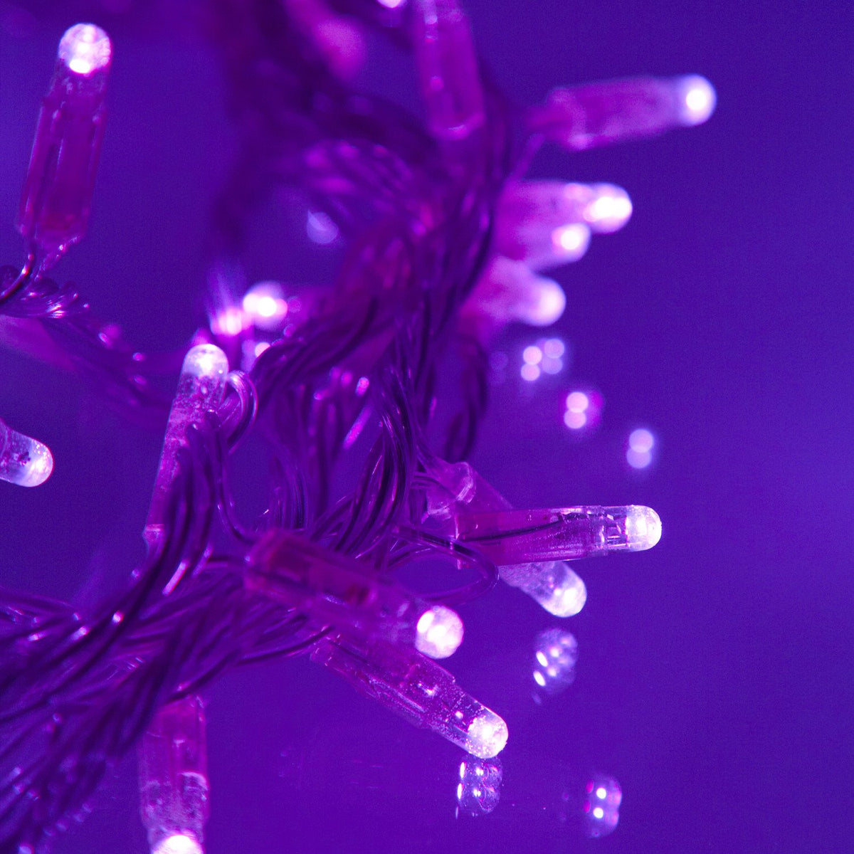 Core Connect 30m 300er LED Lichterkette lila koppelbar transparentes Kabel