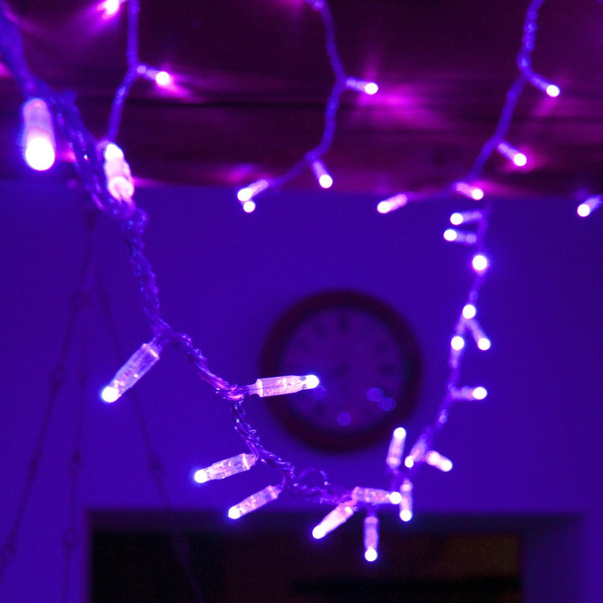 Core Connect 50m 500er LED Lichterkette lila koppelbar transparentes Kabel